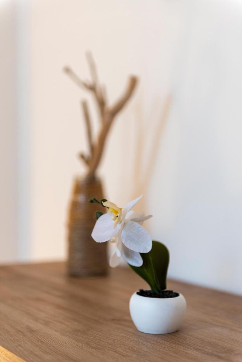 Villa Plumeria กัมโปเฟลิเช ดิ โรชเชลลา ภายนอก รูปภาพ